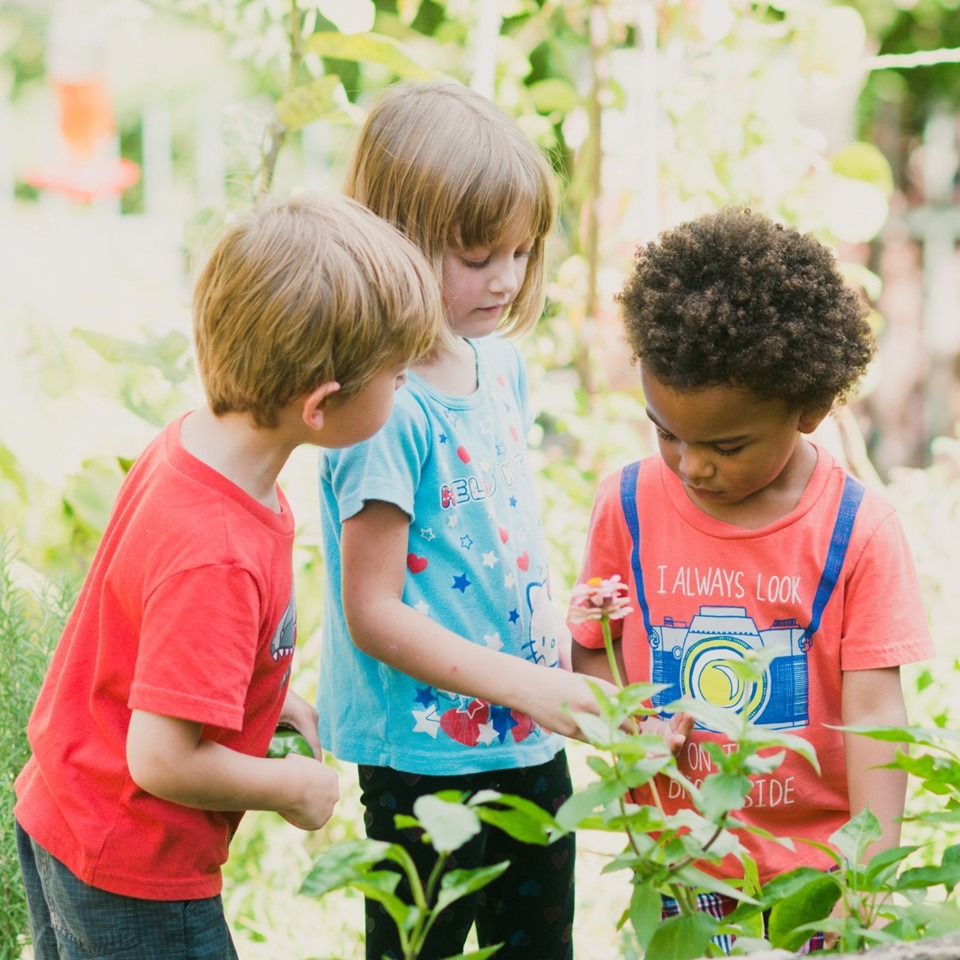 3 kids in garden